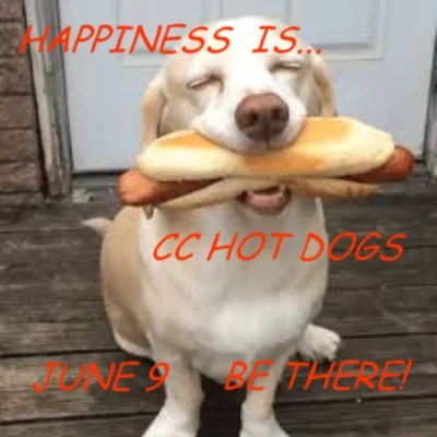 HAPPY DAWG.webp
