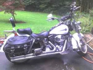 Harley 1.webp
