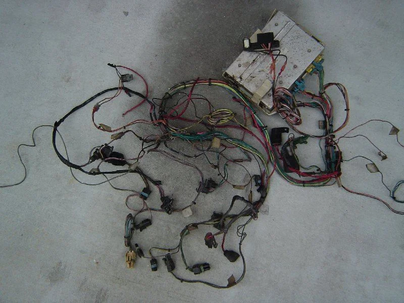harness.webp