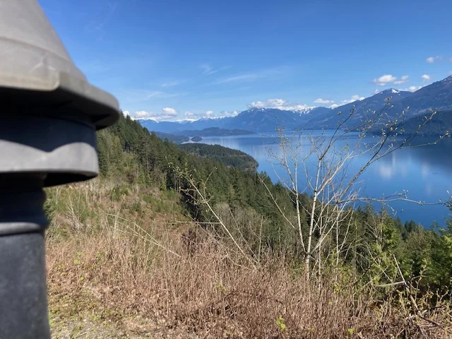 Harrison Lake.jpg
