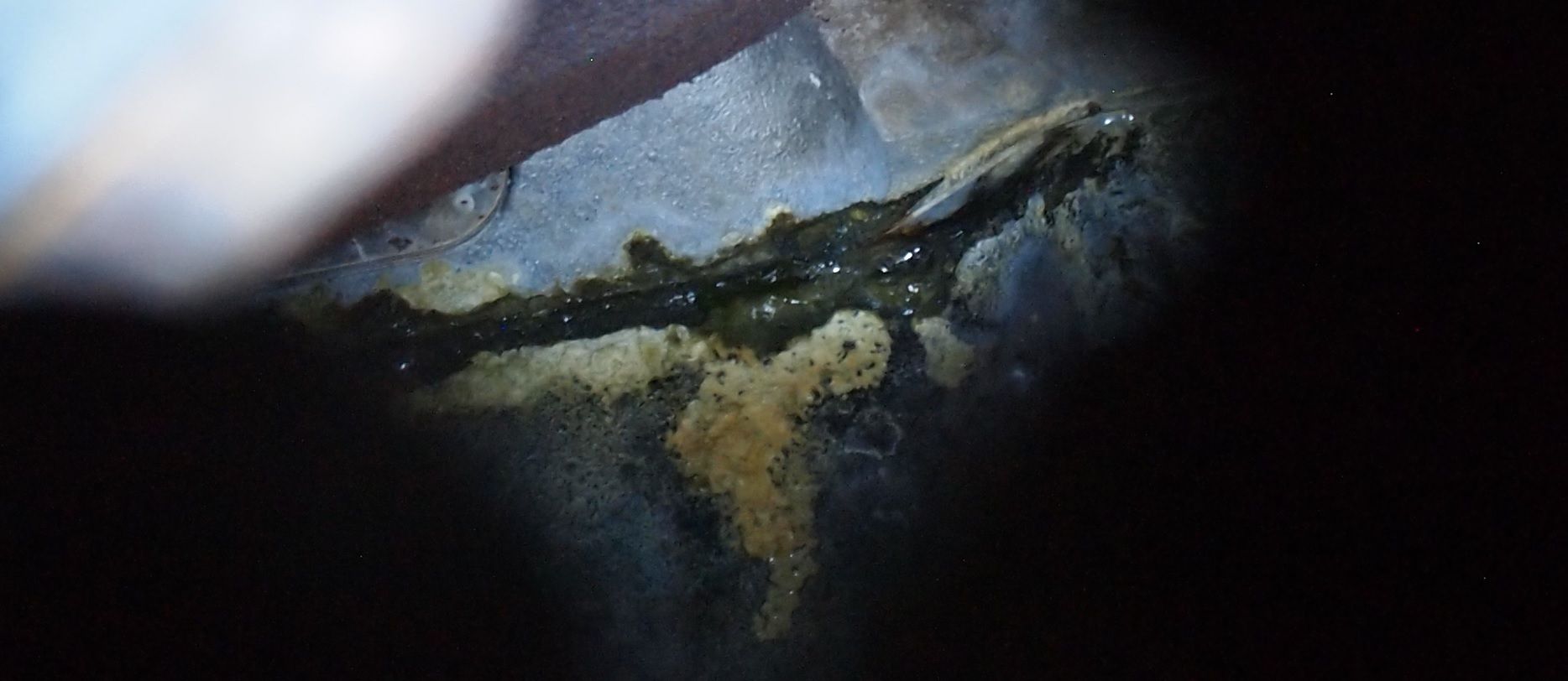 Head gasket.jpg