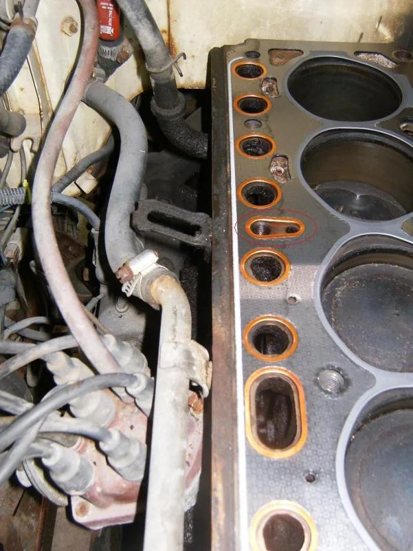 Head Replacement 005-1.webp