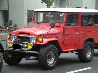 headlight guards lame pic 2.webp