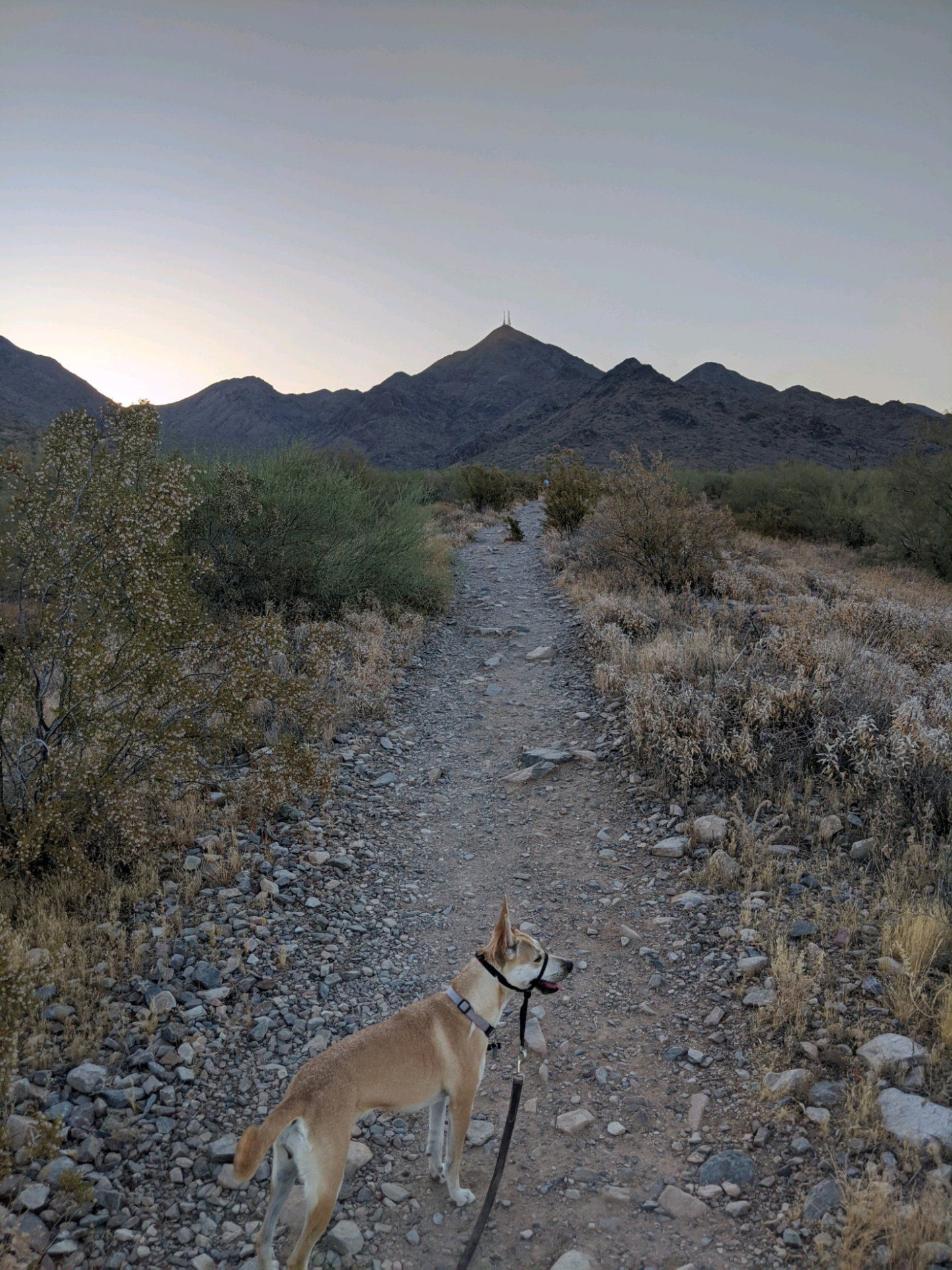 hike.jpg