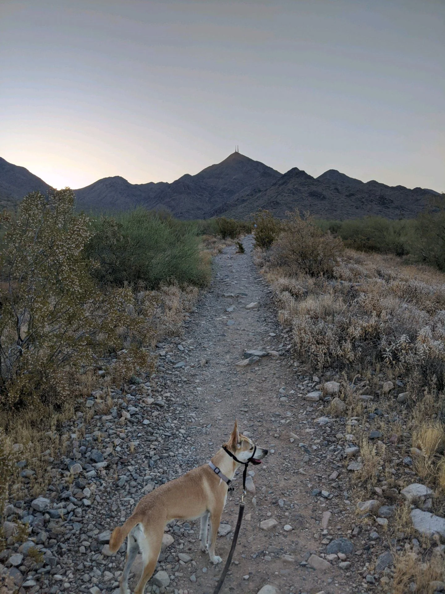 hike.jpg