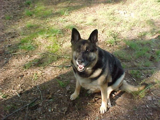 Hilda14J.webp