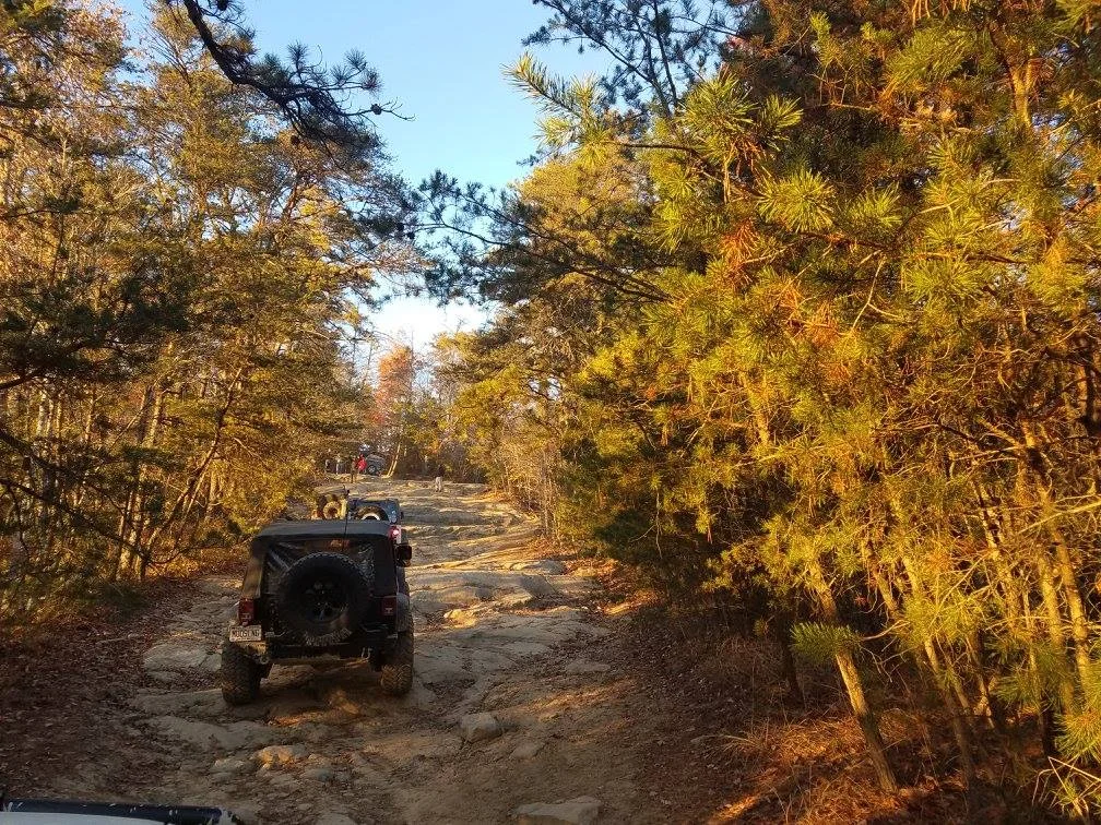 Hill climb.webp
