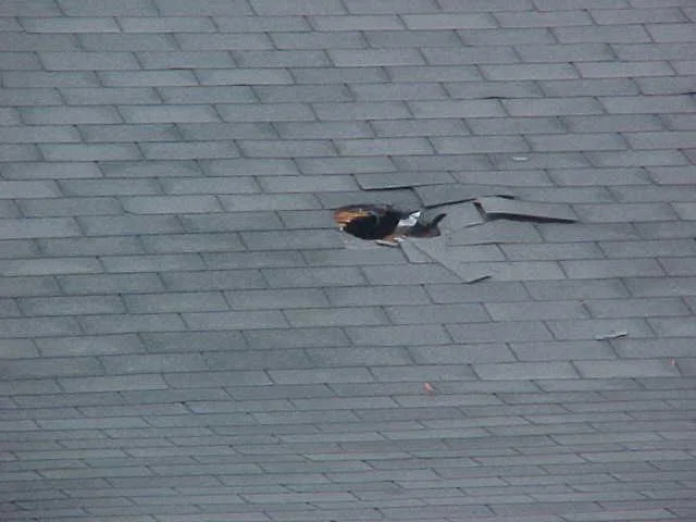 holeinroof2.webp