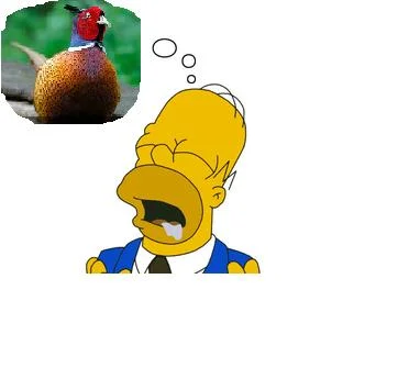 homerpheasant.webp