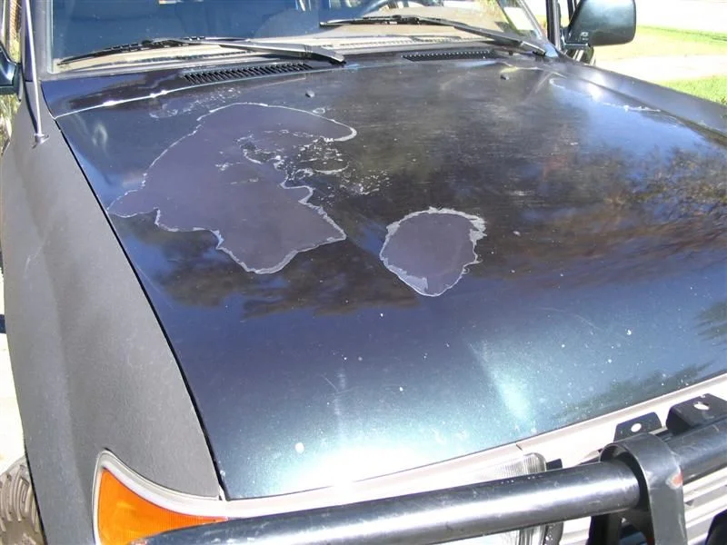 hood 005 (Medium).webp