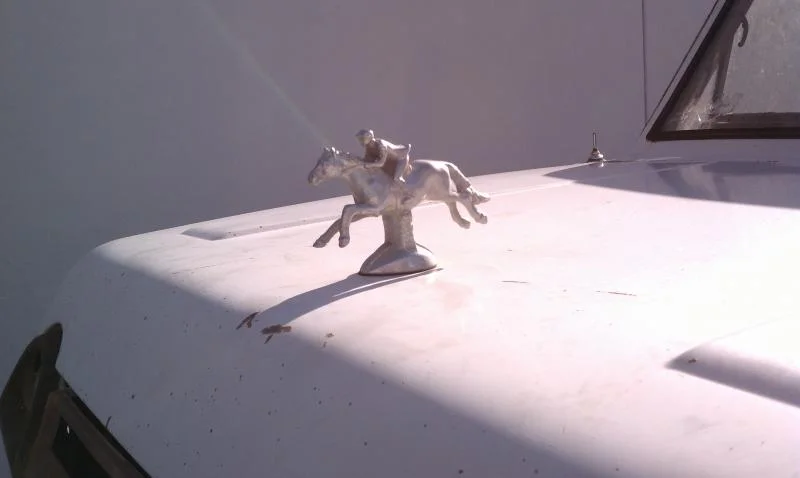Hood ornament.webp