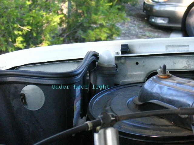 hood_light.webp