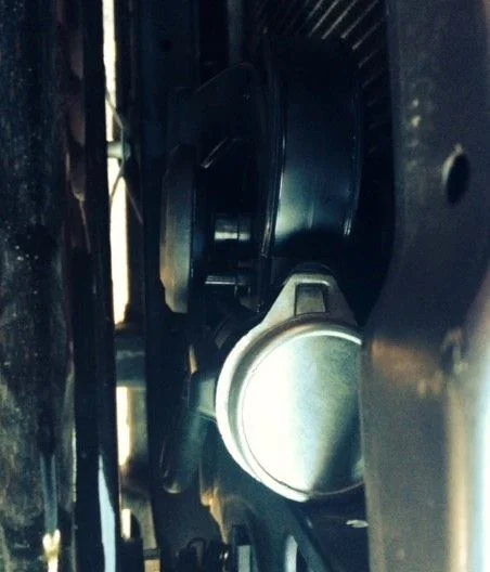 Horn 4.webp