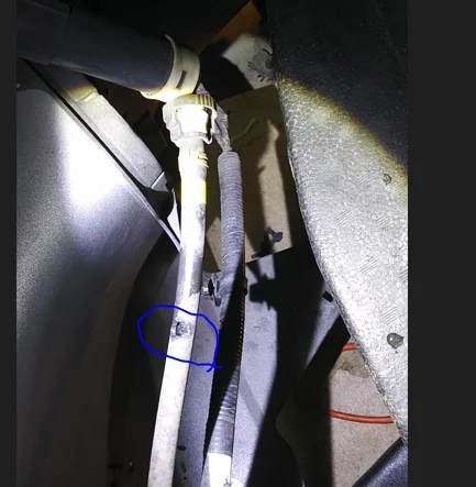 hose at lamp.webp