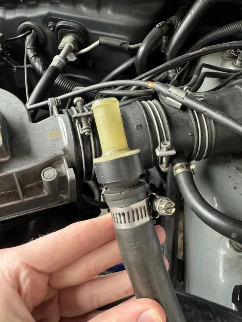 hose.webp