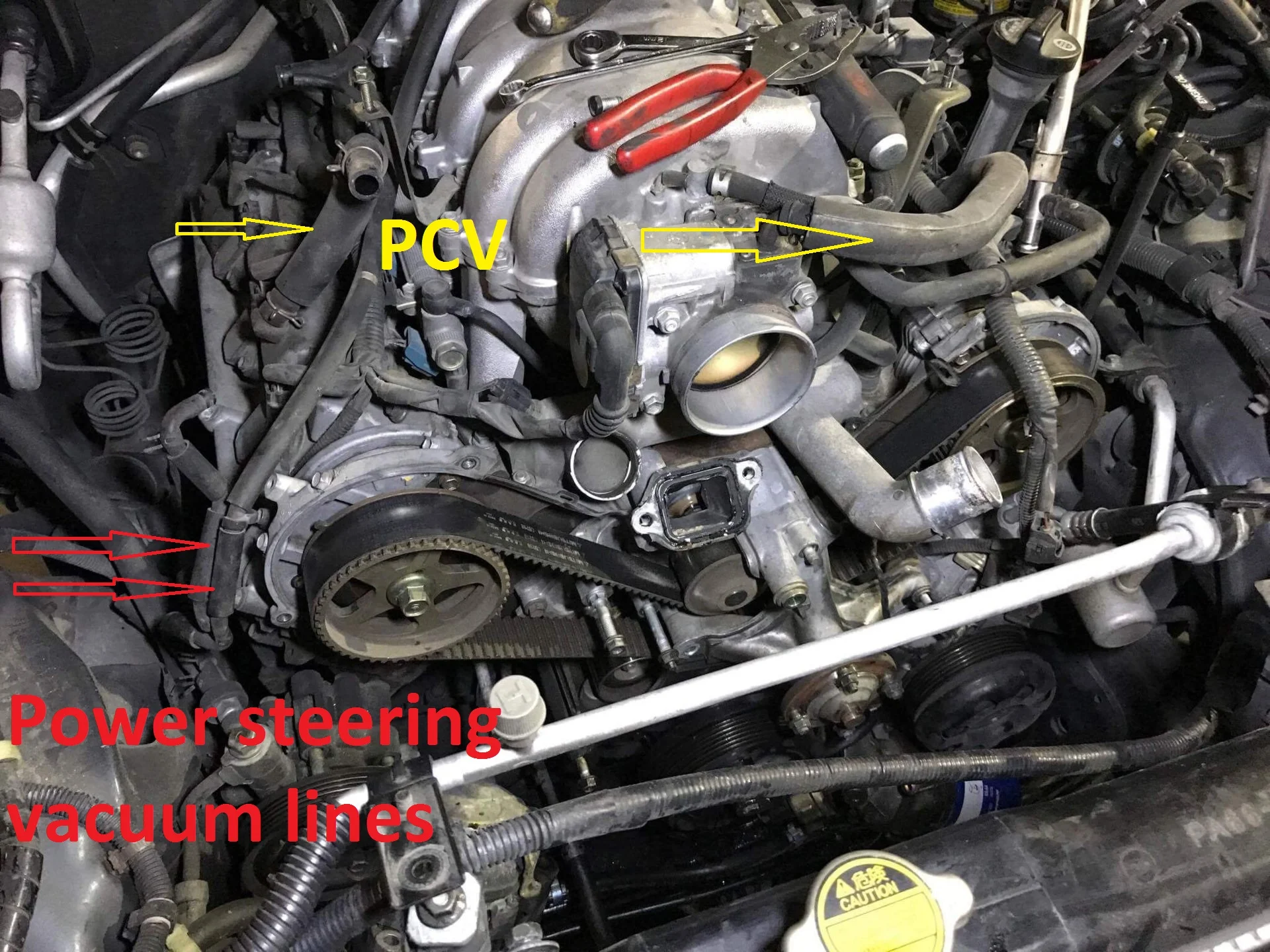 Hoses 03-05.webp