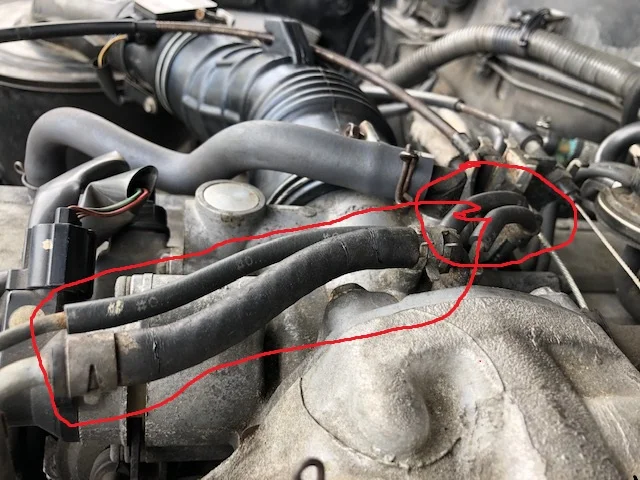 Hoses that I need.webp