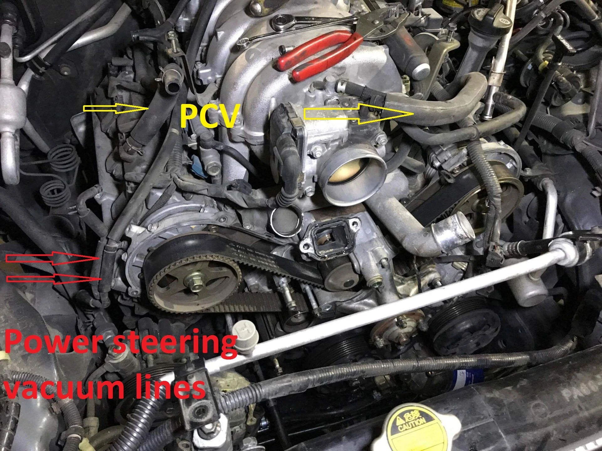 Hoses.webp