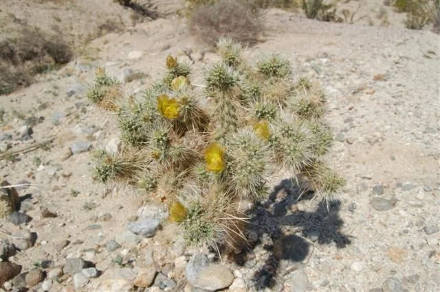 hubnut 023 (Small).webp