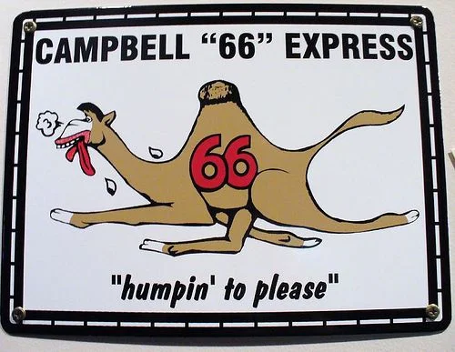 huppin to please.webp
