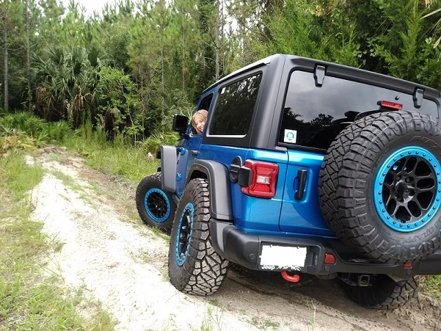 hydrobluejl.jpg