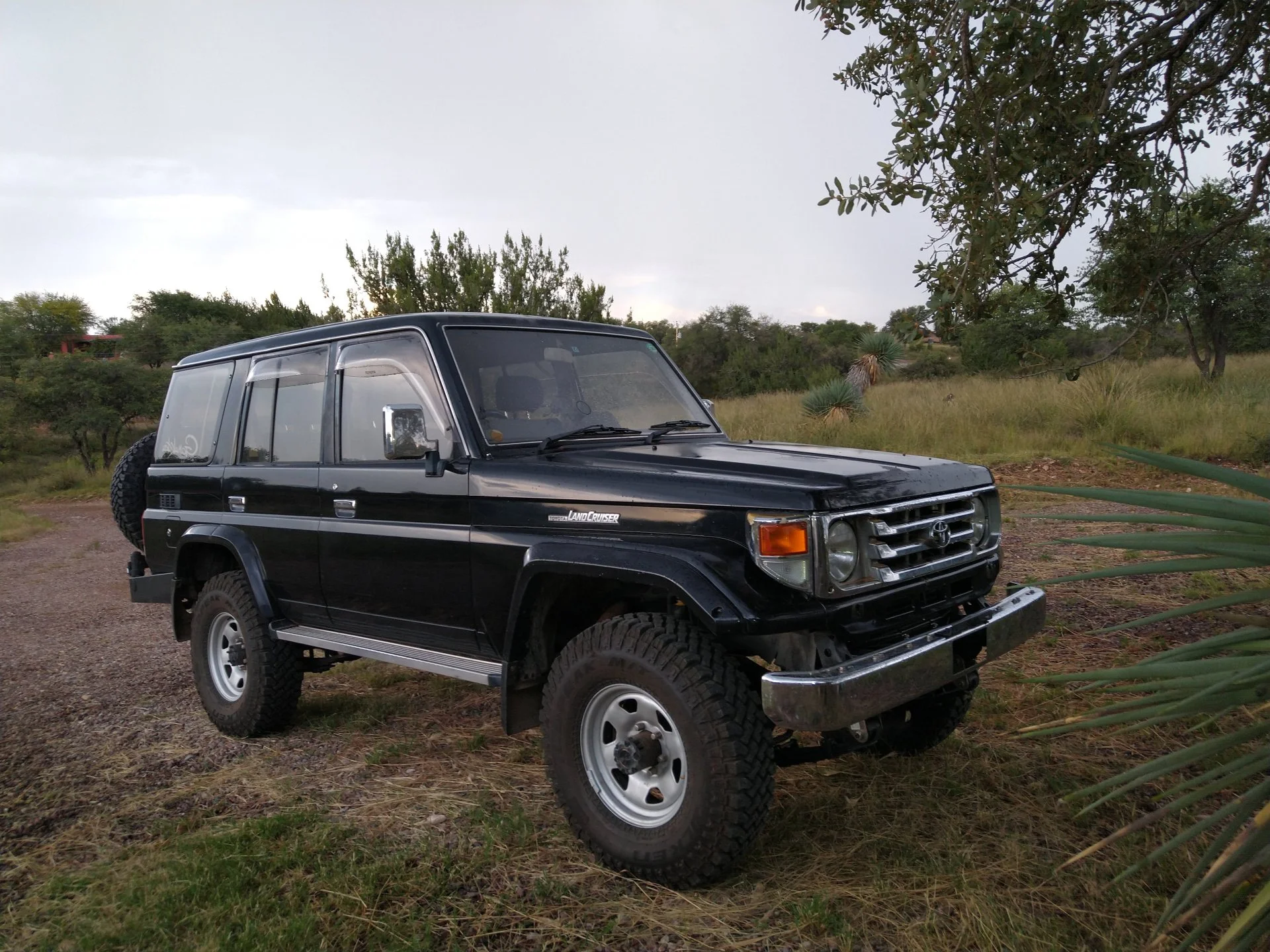 HZJ77.webp