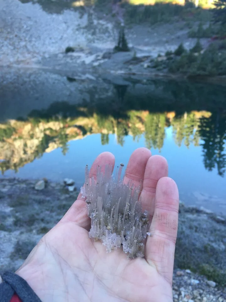Ice Crystals.webp