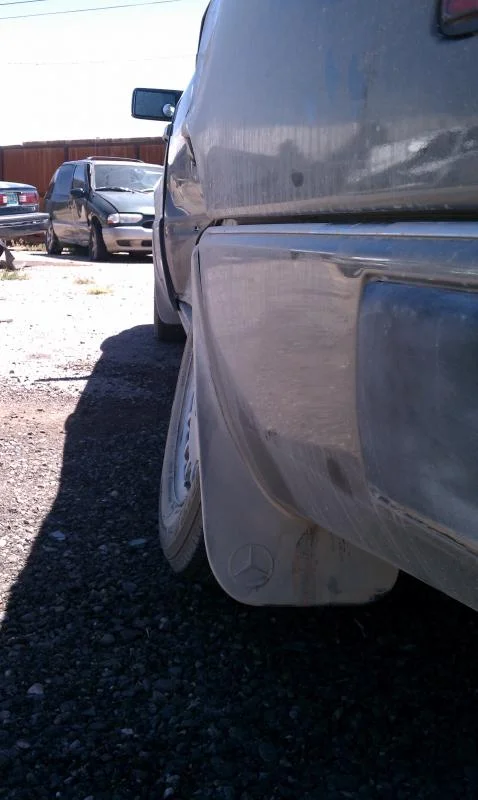 IMAG0044.webp