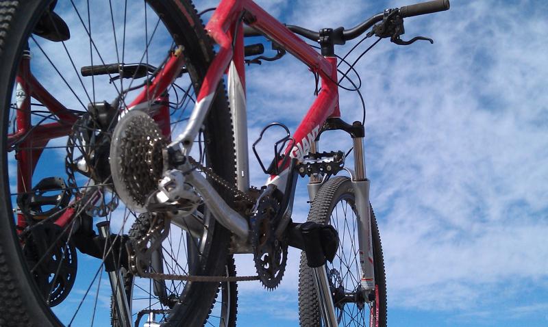 IMAG0058.jpg