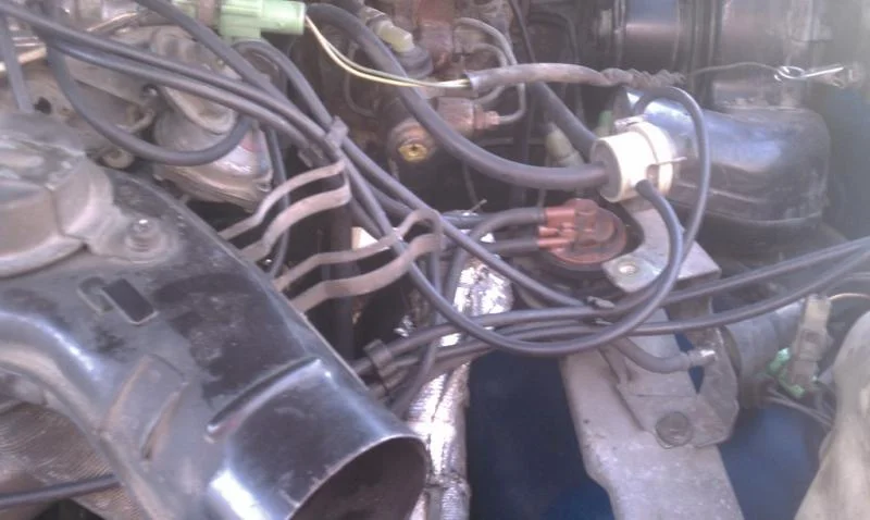 IMAG0093.webp