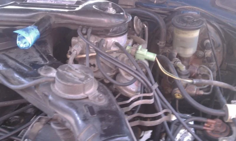 IMAG0094.webp