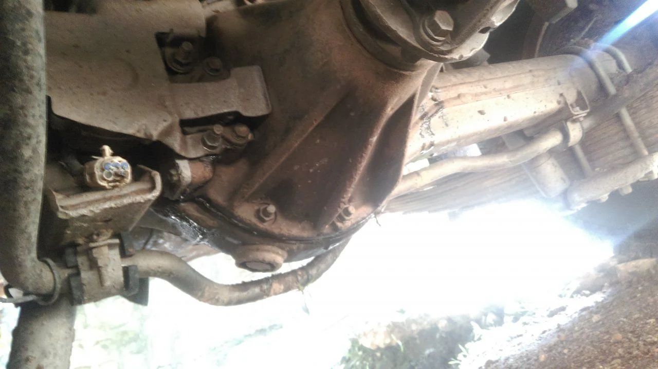 IMAG0135.webp