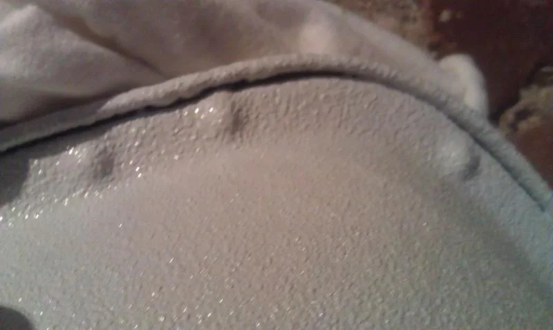 IMAG0170.webp