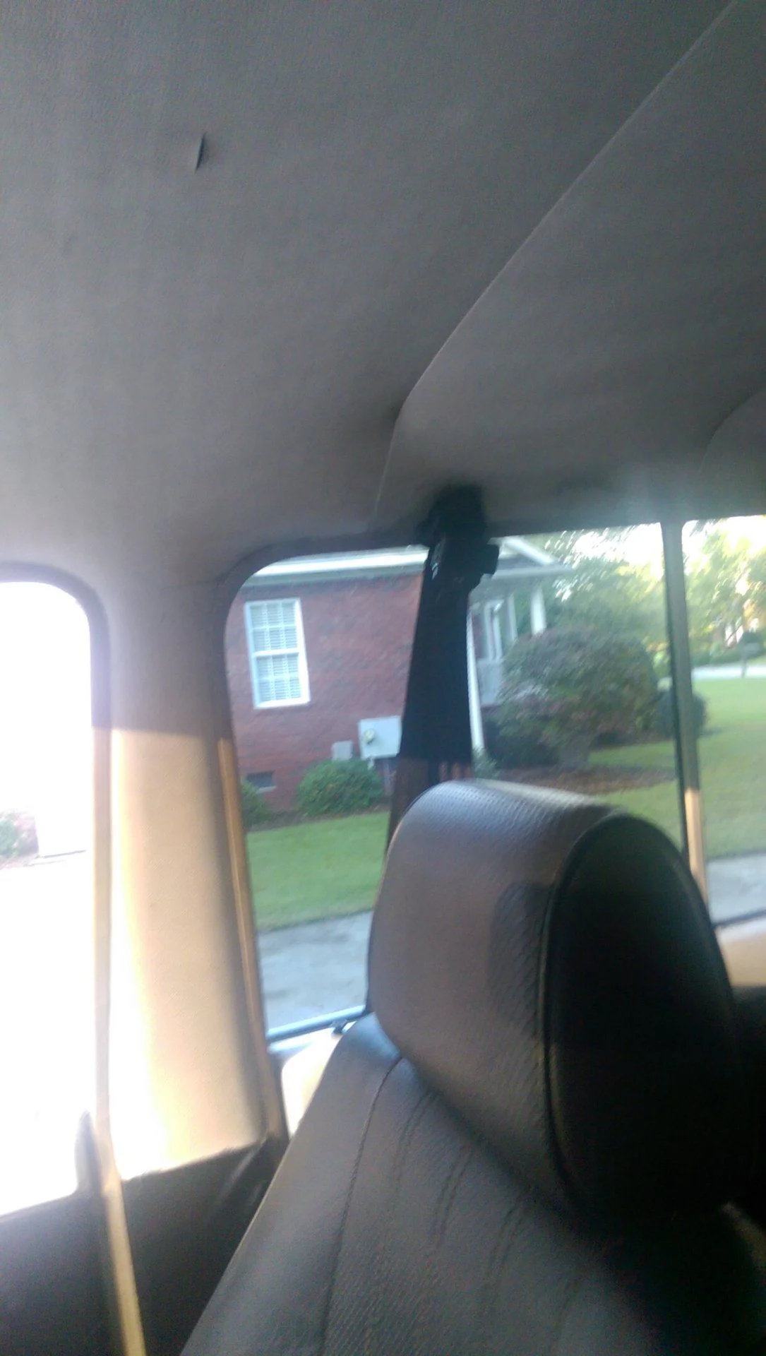 IMAG01933.webp