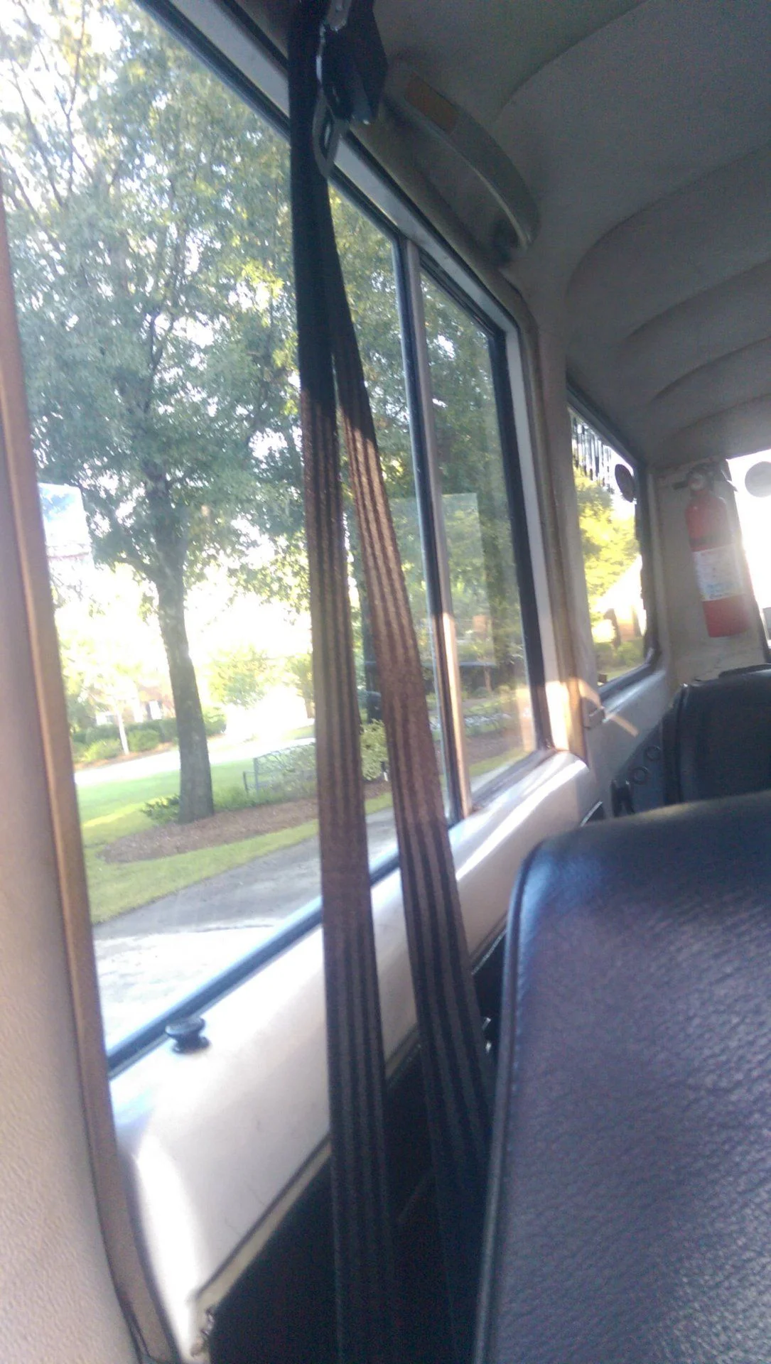 IMAG01935.webp