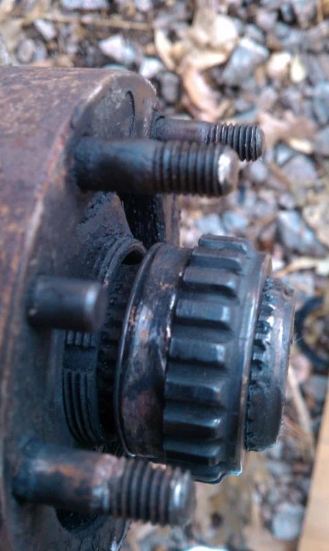 IMAG0197.webp