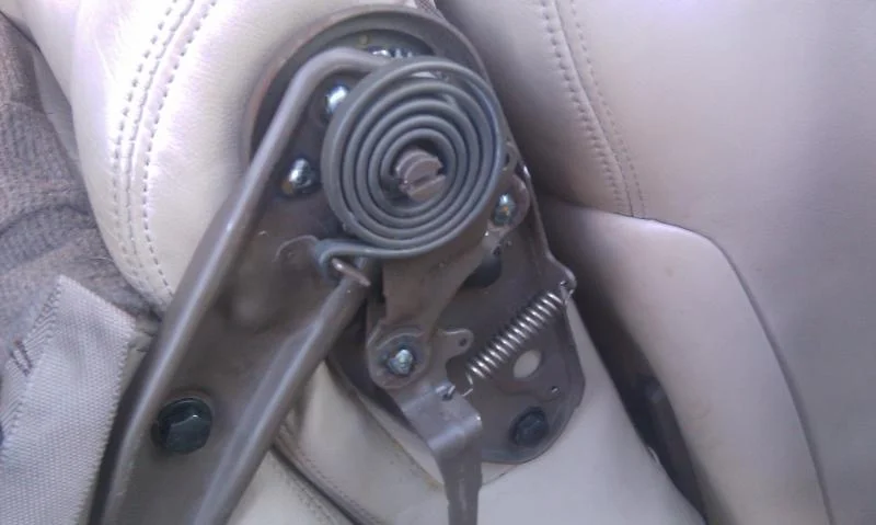 IMAG0202.webp