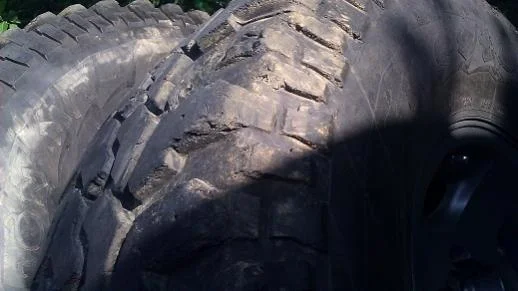 IMAG0309.webp