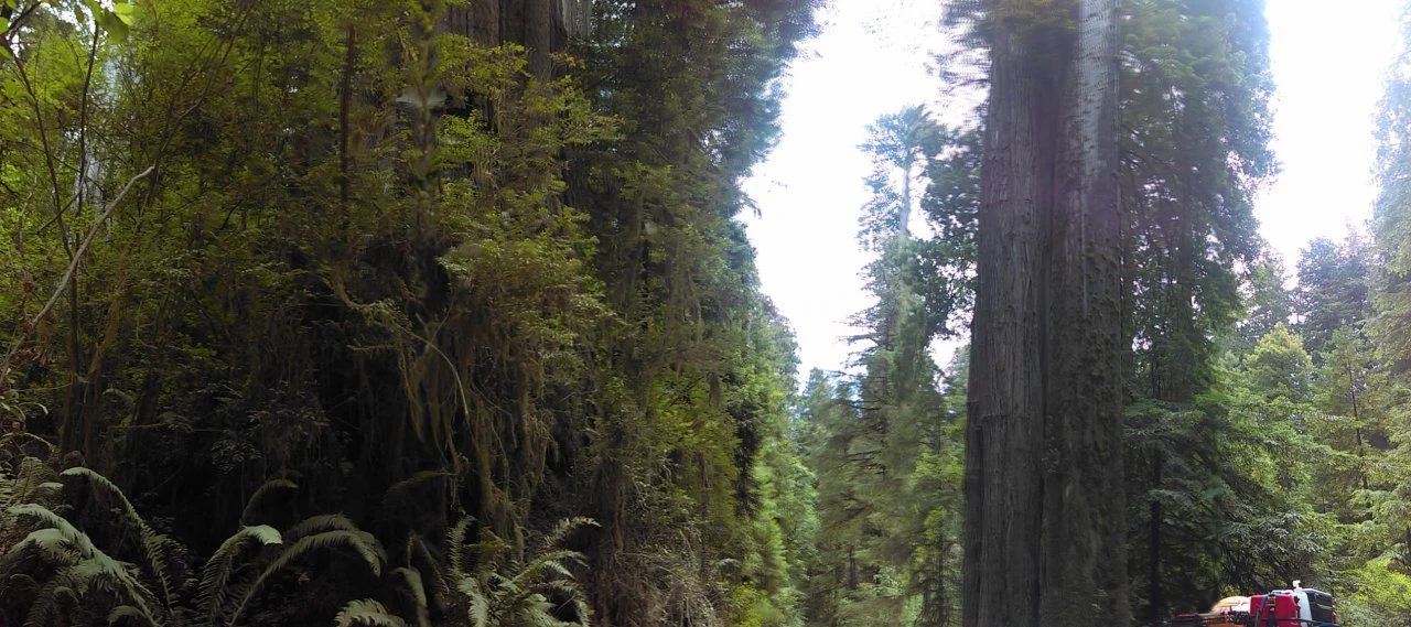 IMAG0718.webp