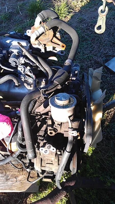 IMAG1381.webp
