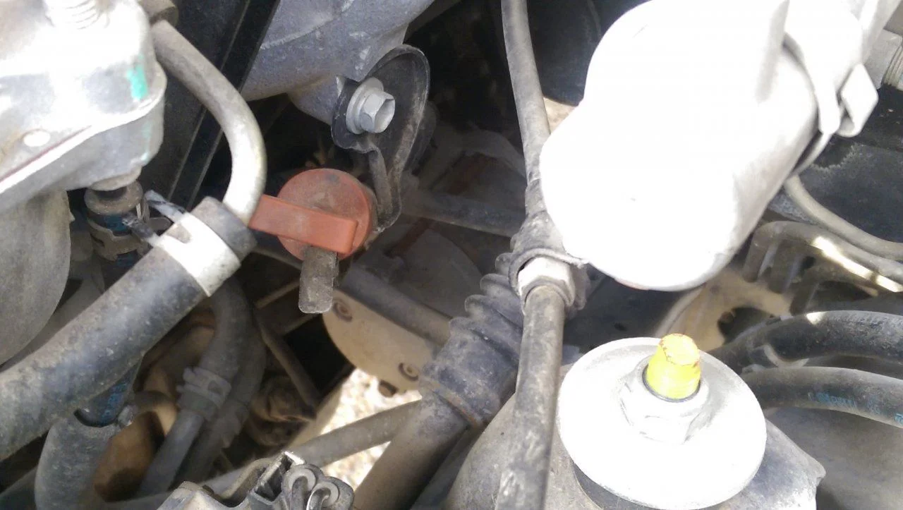 IMAG1530.webp