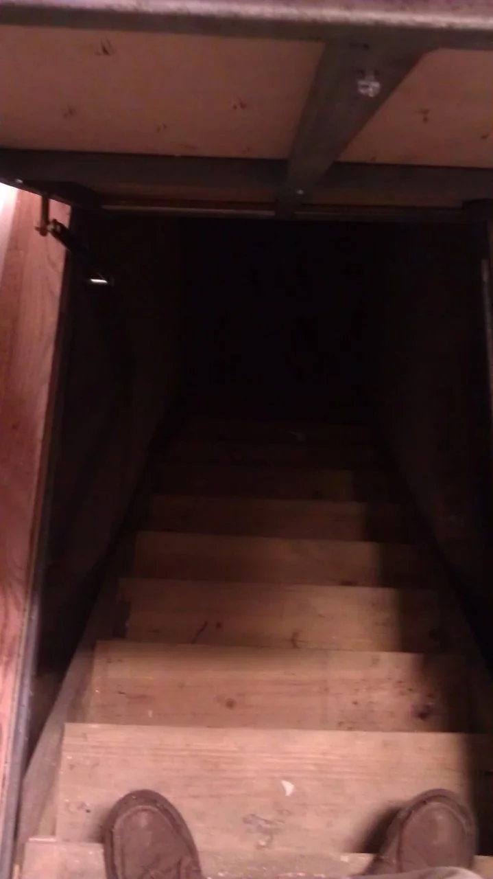 IMAG1656.webp