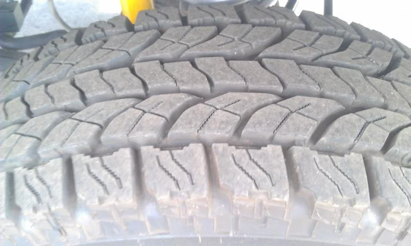 IMAG2181.webp