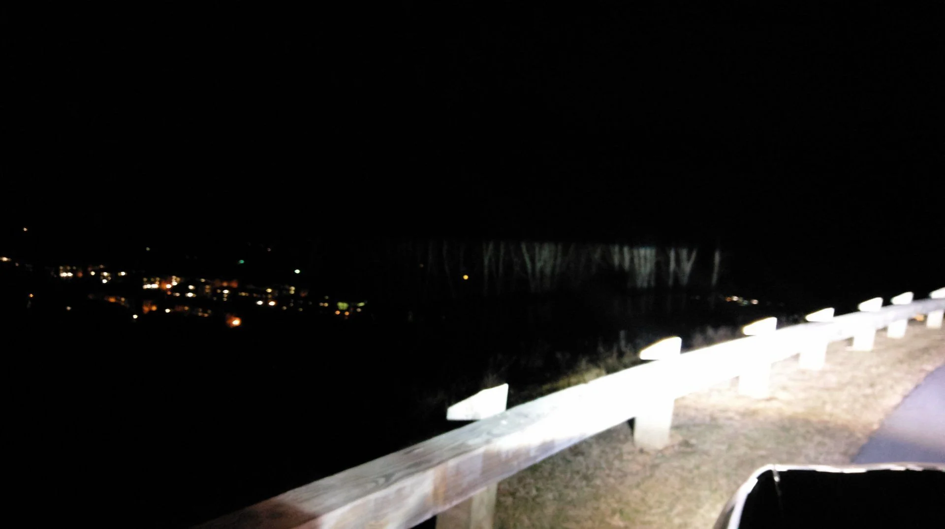 IMAG2344.webp