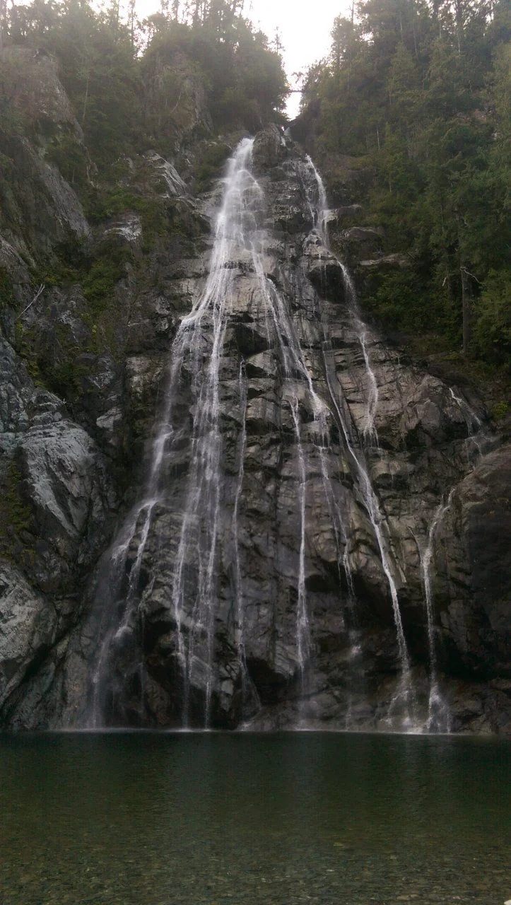 IMAG2380.webp