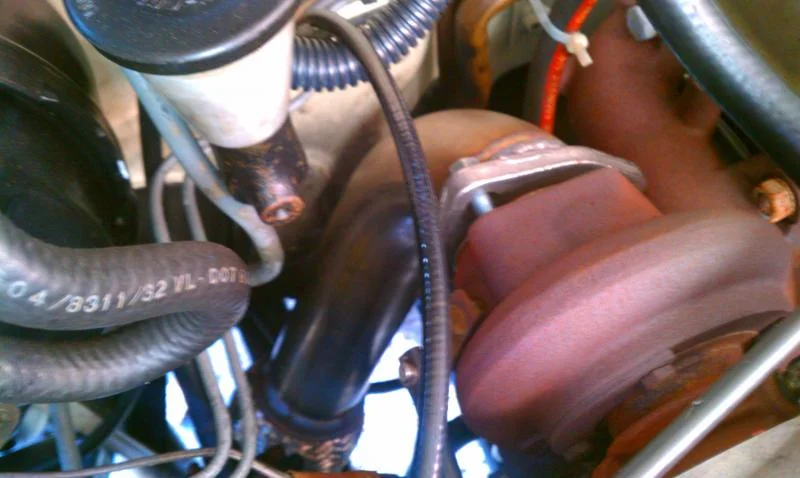 IMAG2465.webp