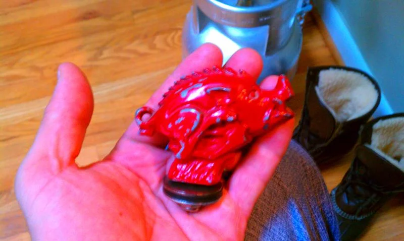 IMAG2700.webp
