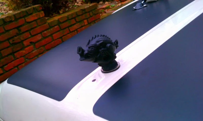IMAG2726.webp