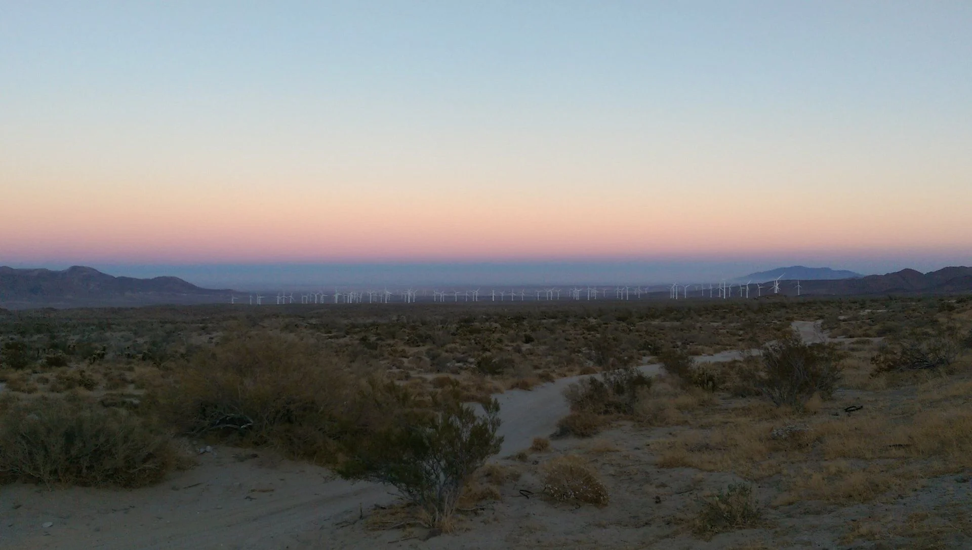 IMAG4882.webp