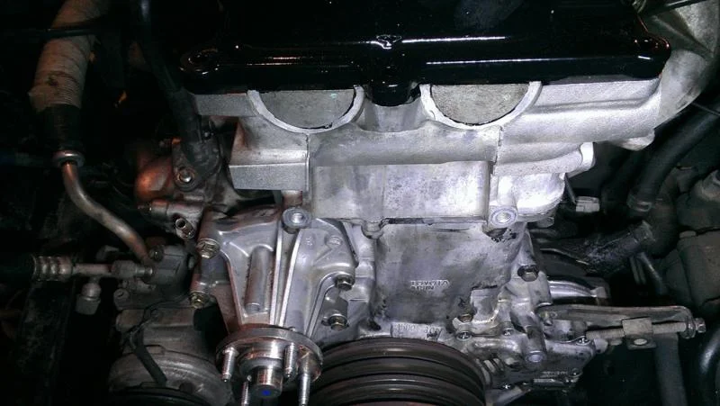 IMAG5104.webp